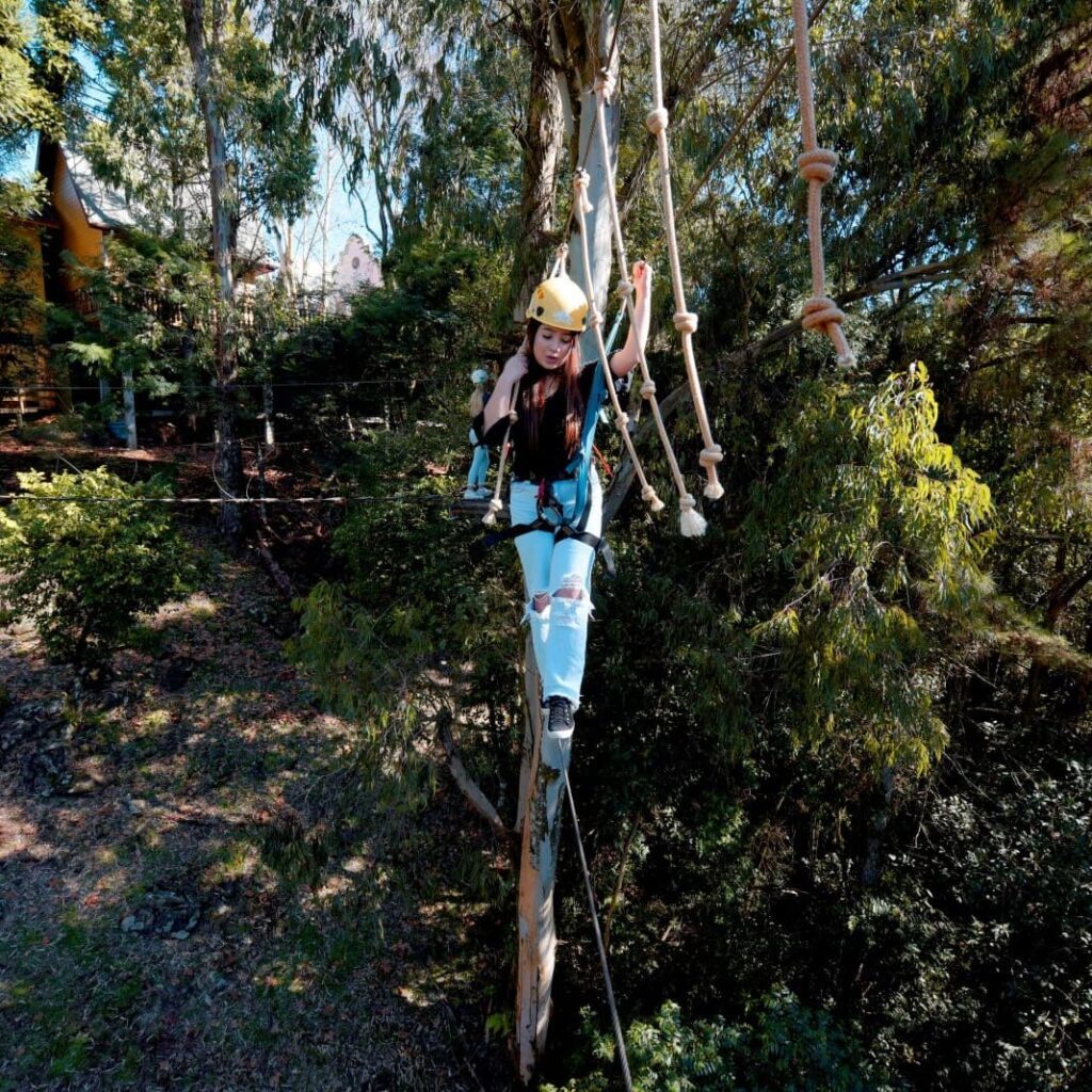 ingresso-alpen-park-canela-arvorismo-1-1
