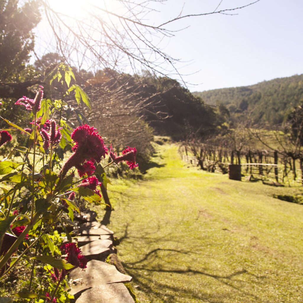 Tour-rural-Linha-Bella-gramado-1-1