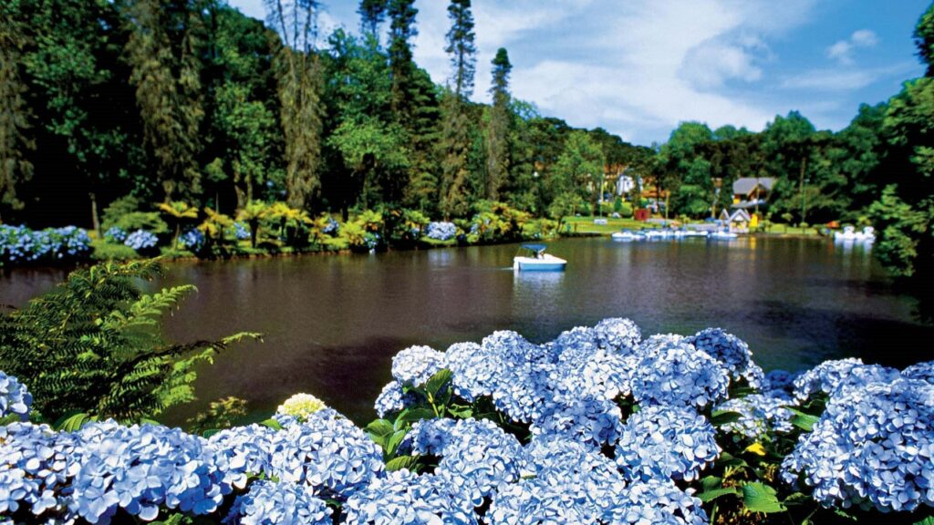 city-tour-gramado-lago-negro-pedalinho-16-9