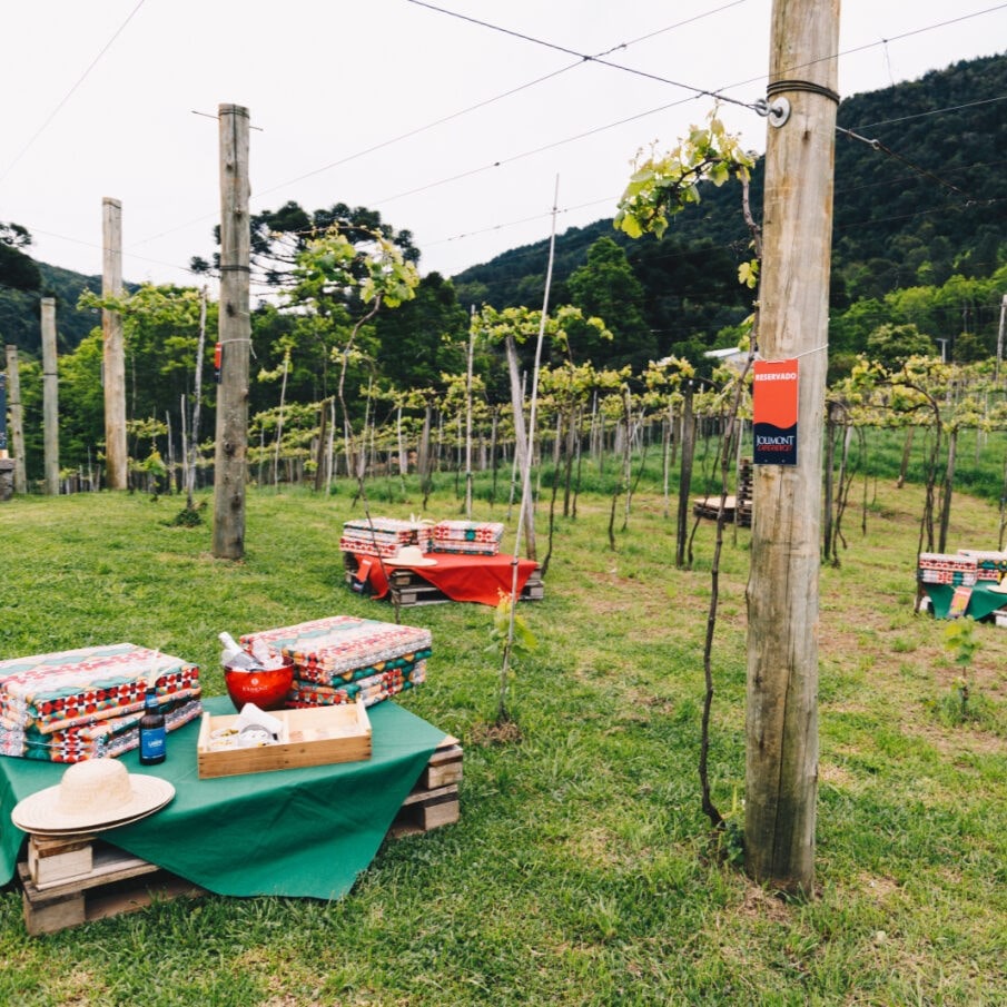 ingresso-vinicola-jolimont-piquenique-1-1