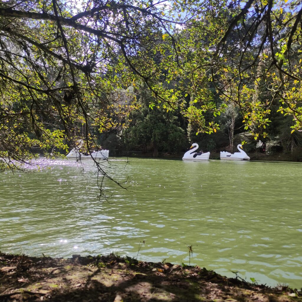 lago-negro-gramado-1-1