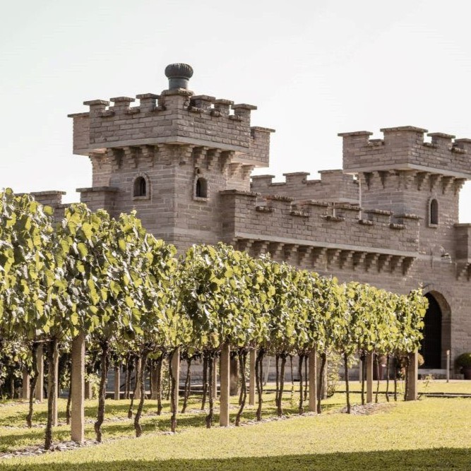 vinicola-cave-pedra-castelo-1-1