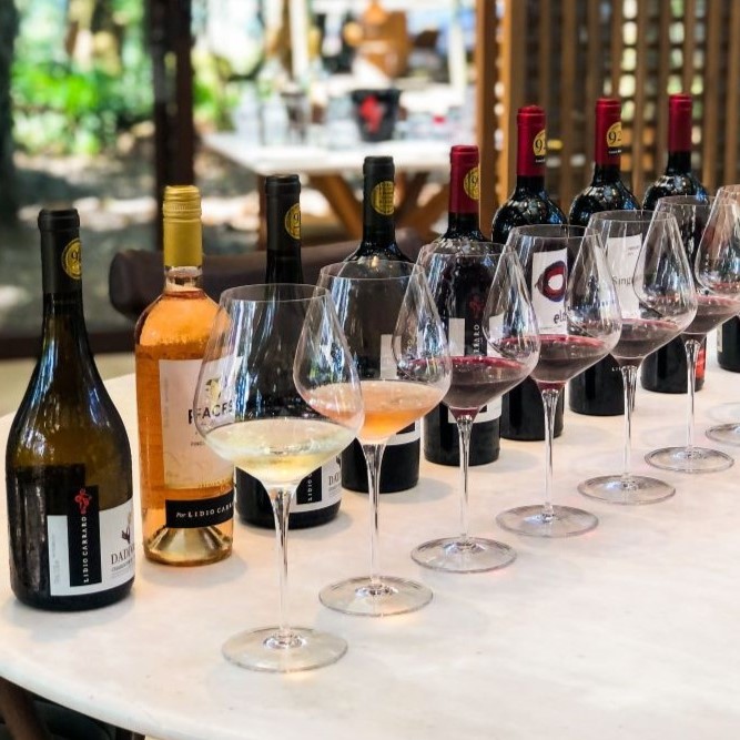 vinicola-lidio-carraro-degustacao-1-1