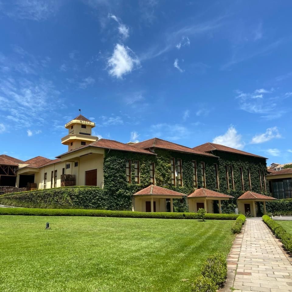 vinicola-miolo-sede-1-1