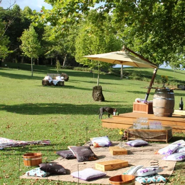 vinicola-miolo-wine-garden-1-1