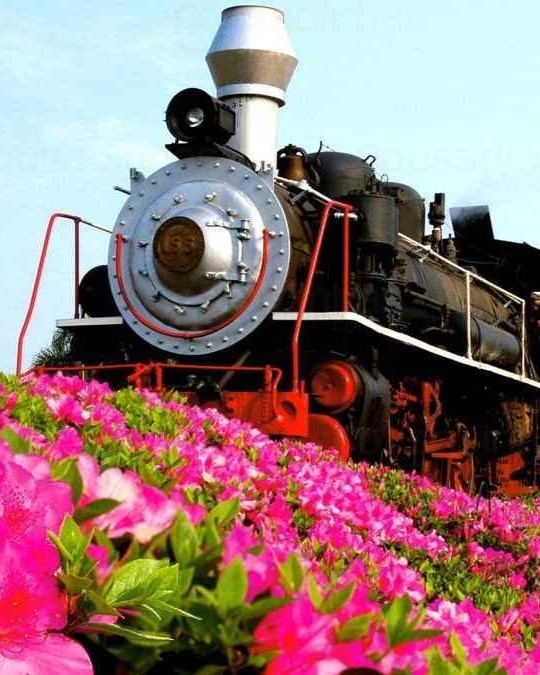 trem-maria-fumaca-gramado-ponte-slide